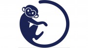 Blue Monkey Web Design Peterborough